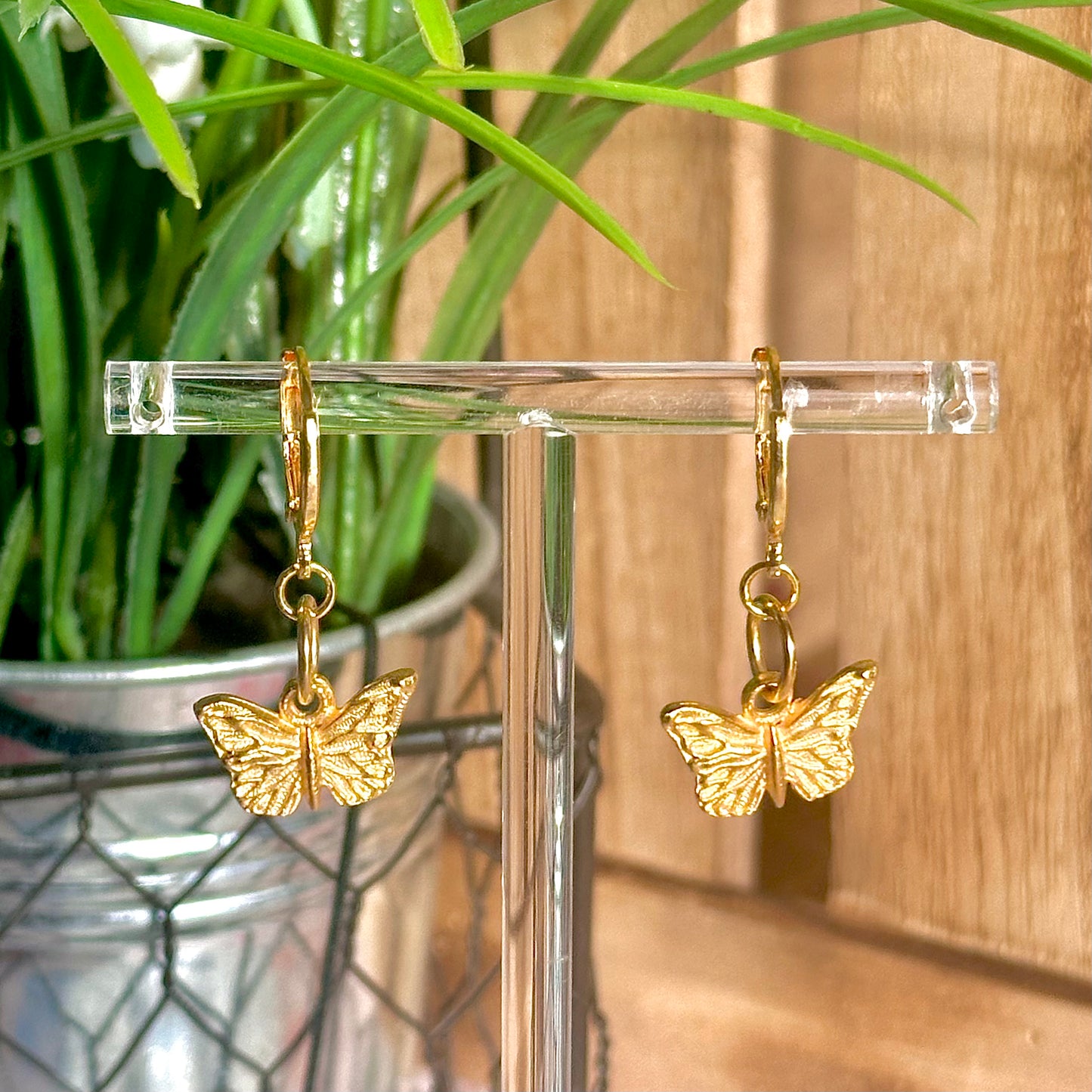 gold butterfly hoops